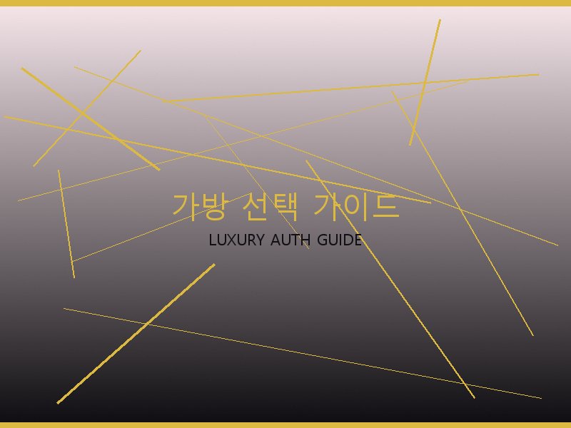 폴로 레플 사이트 가방 선택 가이드