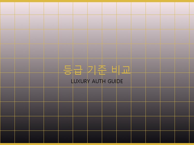 폴로 레플 사이트 등급 기준 비교